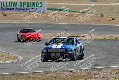 media/Mar-05-2022-West Coast Racing (Sat) [[34c75378a2]]/4-Blue/1140am Session/